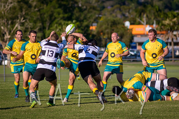 rugby 115