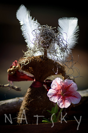 LISMORE STREET PHOTOGRAPHER