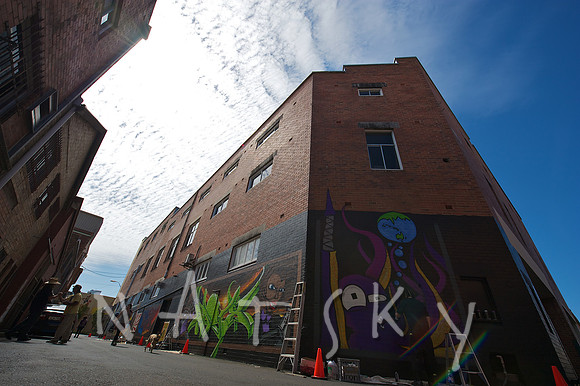 Lismore Street Photographer