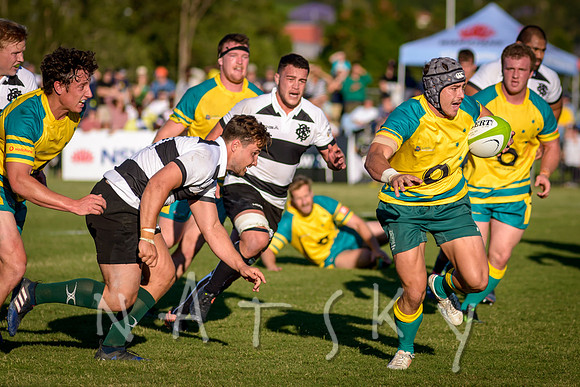 rugby 155