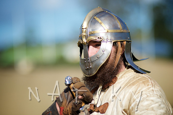 2015 VIKINGS  092