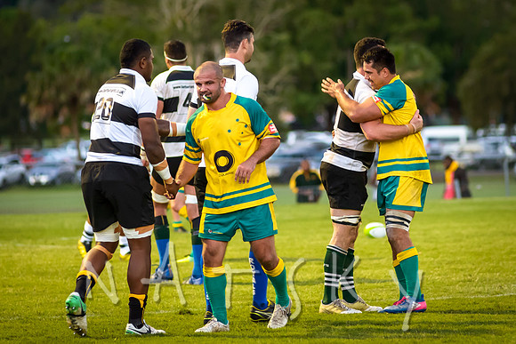 rugby 301