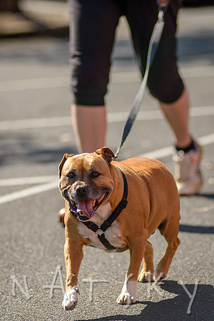 DARREL CHAPMAN FUN RUN