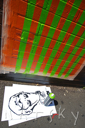 Lismore Street Photographer