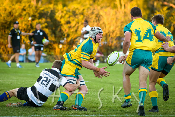 rugby 253