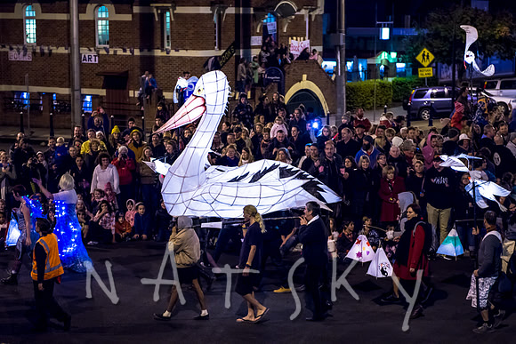 LANTERN PARADE 069