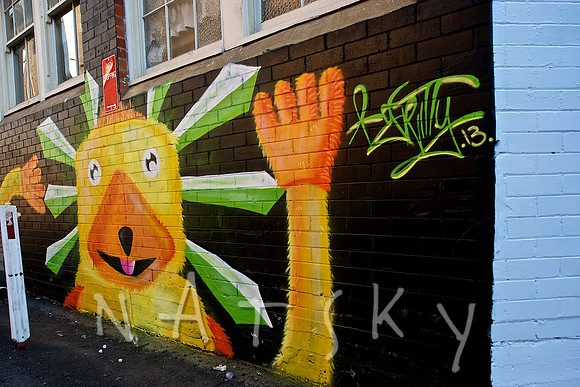 LISMORE STREET PHOTOGRAPHER