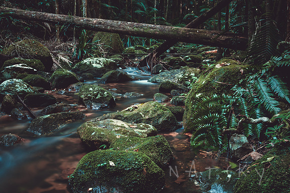 TERANIA CREEK 002