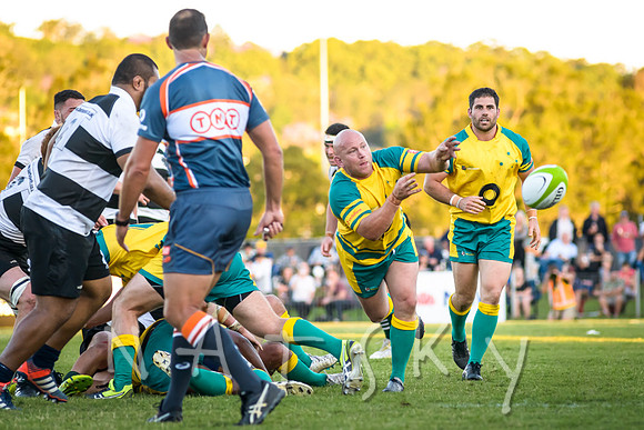 rugby 238