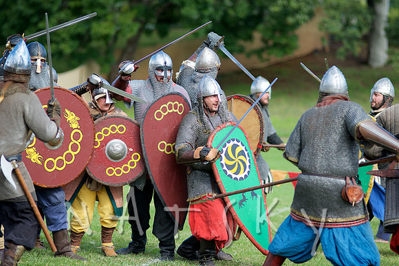 2015 VIKINGS  130