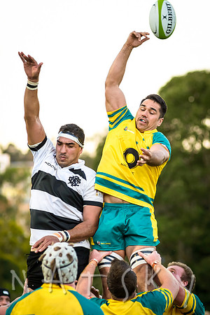 rugby 273