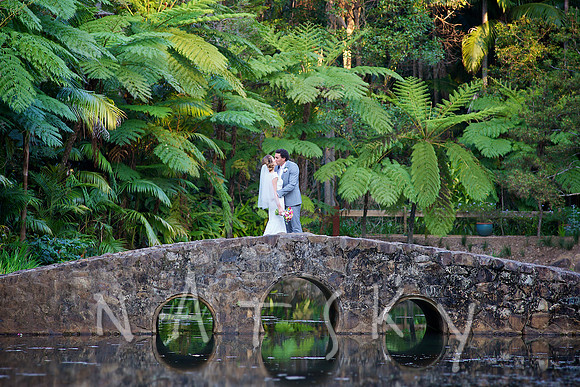 lismore photographer  002
