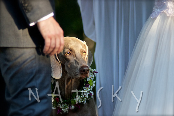 LISMORE WEDDING PHOTOGRAPHER