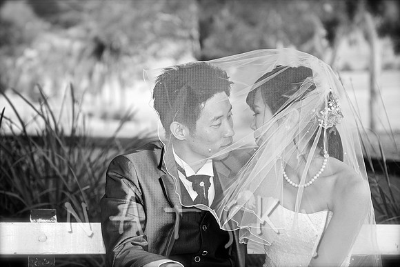LISMORE WEDDING PHOTOGRAPHER