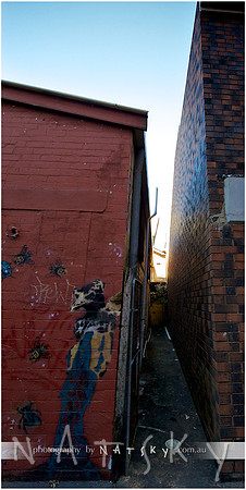 Lismore Photographer