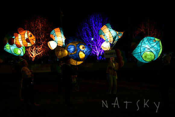 lantern parade 115