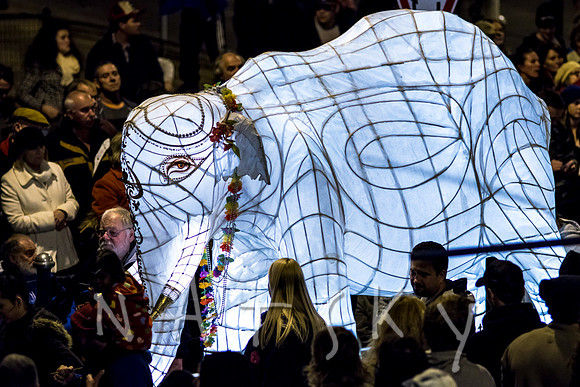 LANTERN PARADE 089