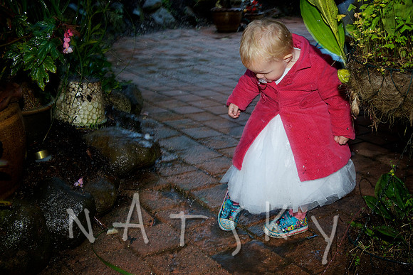 LISMORE WEDDING PHOTOGRAPHER