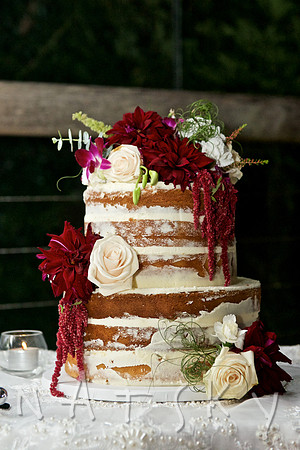 North Coast Wedding Photography
