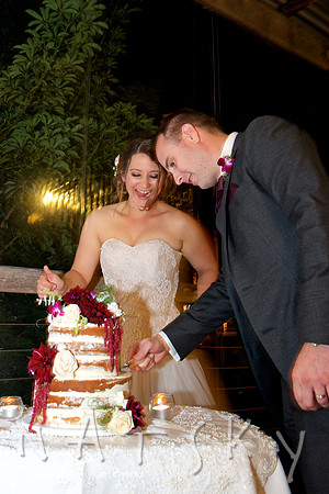 North Coast Wedding Photography