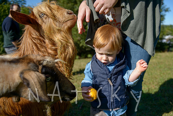 LISMORE PORTRAIT PHOTOGRAPHER 6