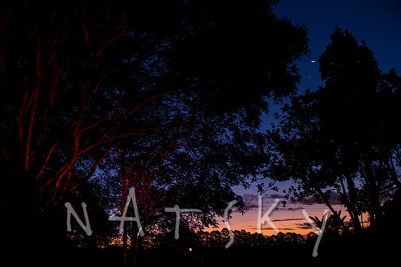 NORTHERN RIVERS WEDDING PHOTOGRAPHER