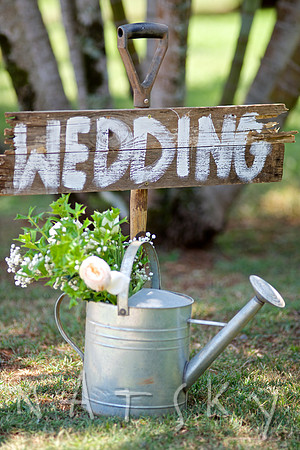 North Coast Wedding Photography