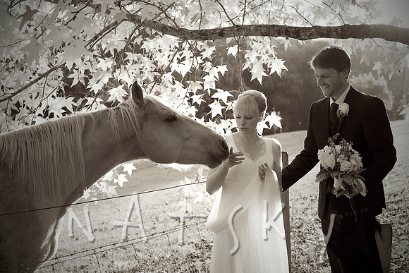 Lismore Wedding Photographer