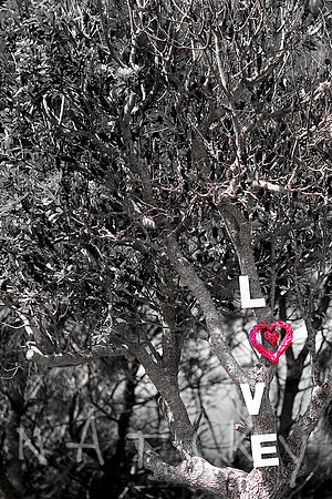 Lismore Wedding Photographer
