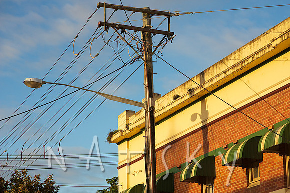 gutter growth