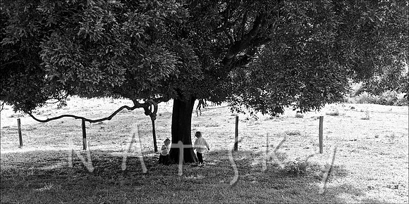 Lismore Wedding Photographer
