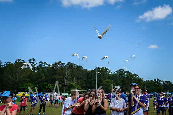 RELAY FOR LIFE 008