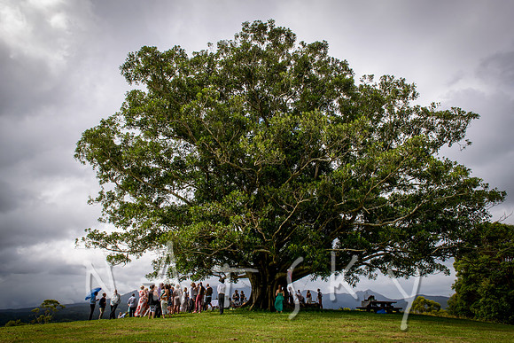 NORTH COAST WEDDING PHOTOGRAPHER