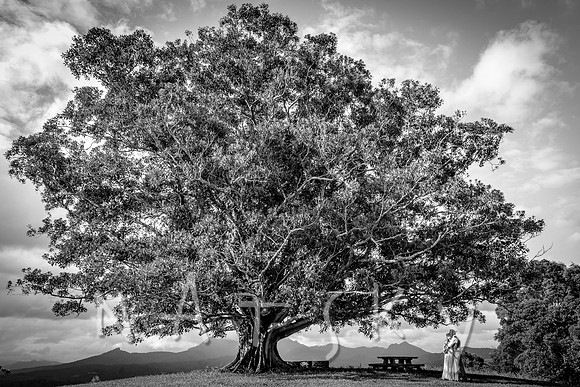 NORTH COAST WEDDING PHOTOGRAPHER