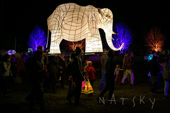lantern parade 117