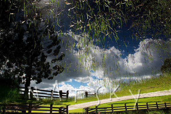 Raining Grass