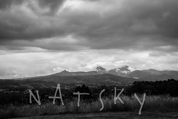 NORTH COAST WEDDING PHOTOGRAPHER