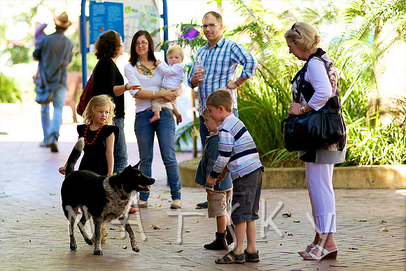 lismore photographer  002
