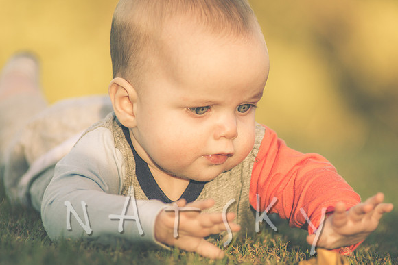 FAMILY PHOTOGRAPHER LISMORE 011