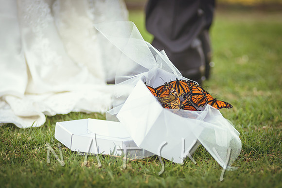 Tweed Heads Wedding Photography