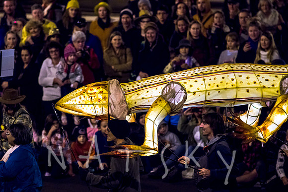 LANTERN PARADE 056