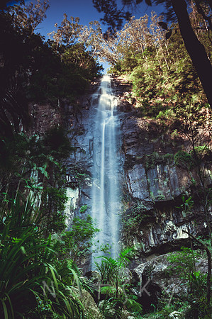 PROTESTORS FALLS 001