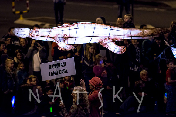 LANTERN PARADE 057