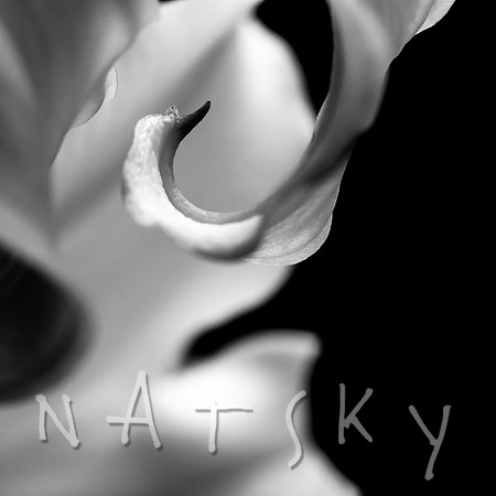 Black Botanical Photography