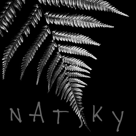 Black Botanical Photography