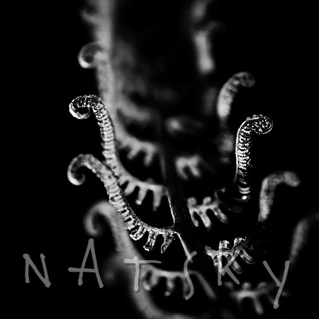 Black Botanical Photography