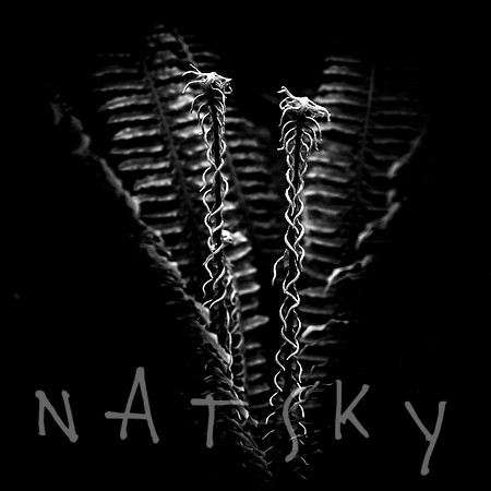 Black Botanical Photography