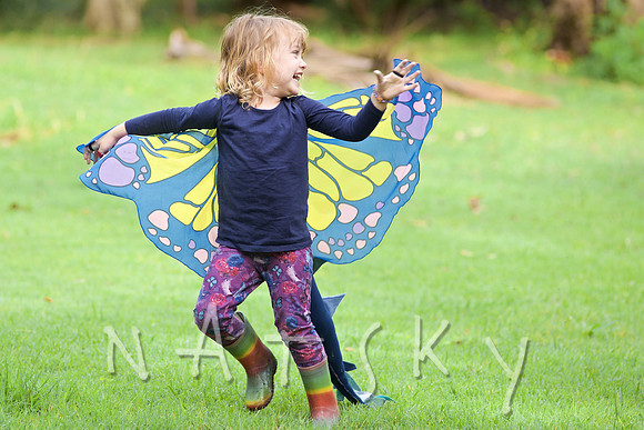 butterfly joy