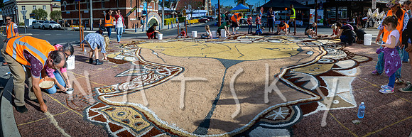 LISMORE STREET PHOTOGRAPHER