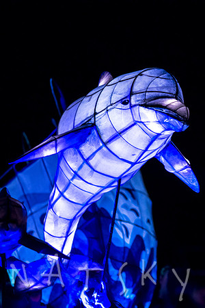 LANTERN PARADE 154